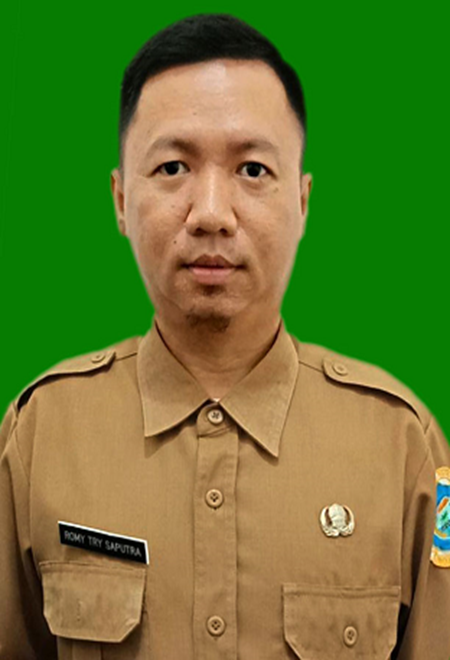 ROMY TRY SAPUTRA, S.Kom